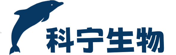 我的网站